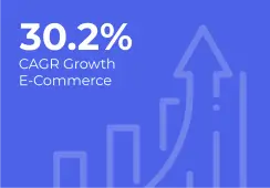 E-commerce Growth E-commerce Growth