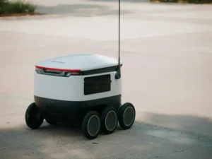 Revolutionizing GCC Retail with Fast Delivery